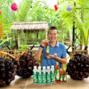 Mật dừa nước cô đặc 250ml
